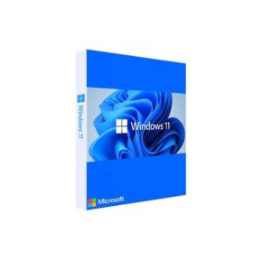 Microsoft Windows 11 Professional c